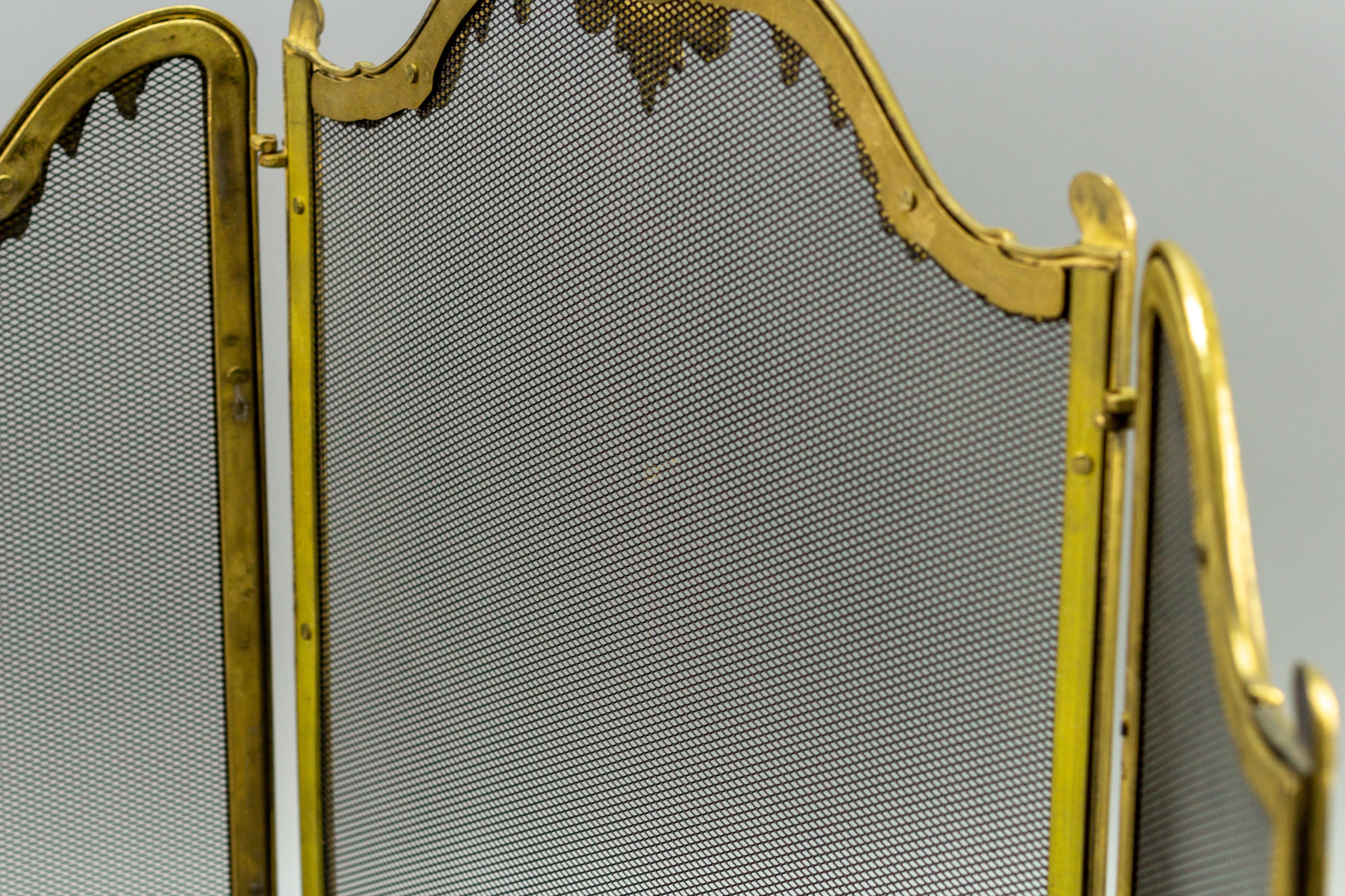 French Rococo Style Fireplace Screen or Fire Screen 1