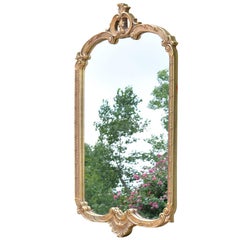 French Rococo Style Gold Tone Wall Mirror