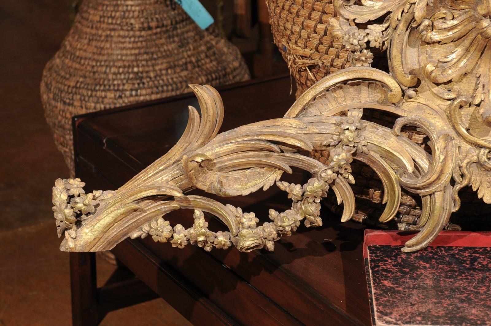 French Rococo Style Parcel-Gilt Carved Architectural Swag from the 19th Century (Französisch)