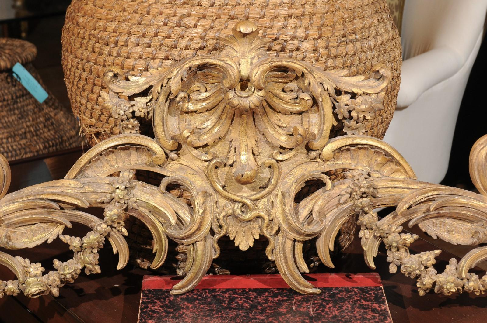 French Rococo Style Parcel-Gilt Carved Architectural Swag from the 19th Century (Geschnitzt)