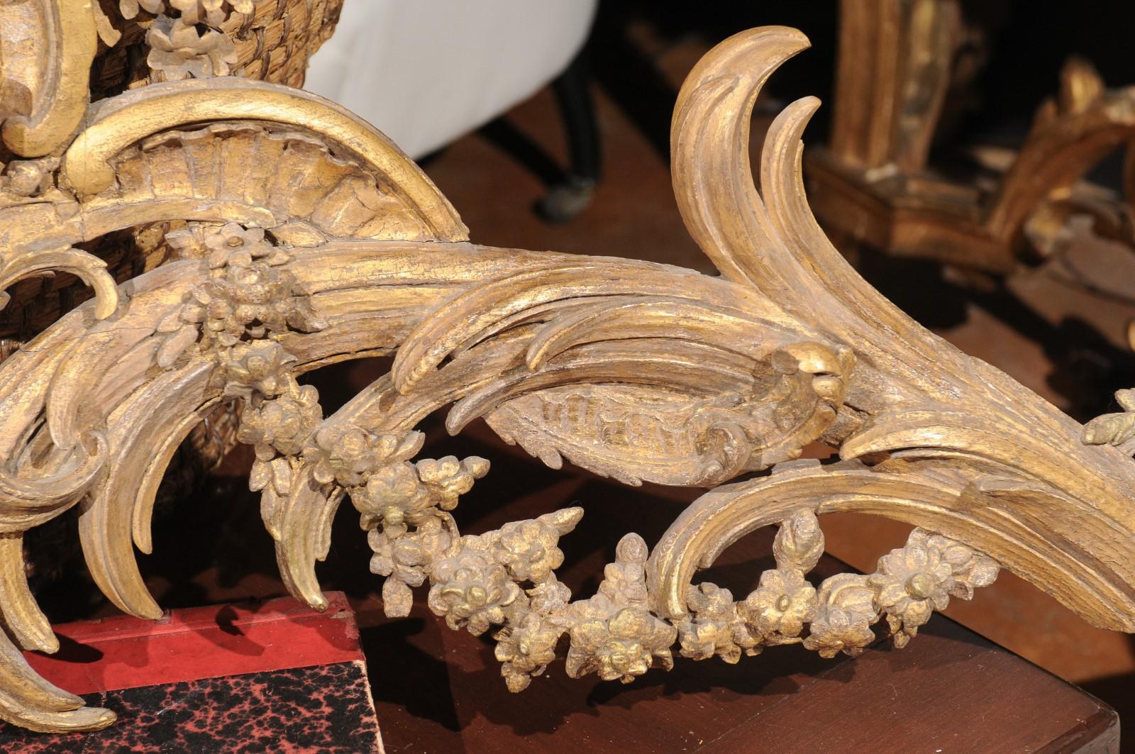 French Rococo Style Parcel-Gilt Carved Architectural Swag from the 19th Century 1