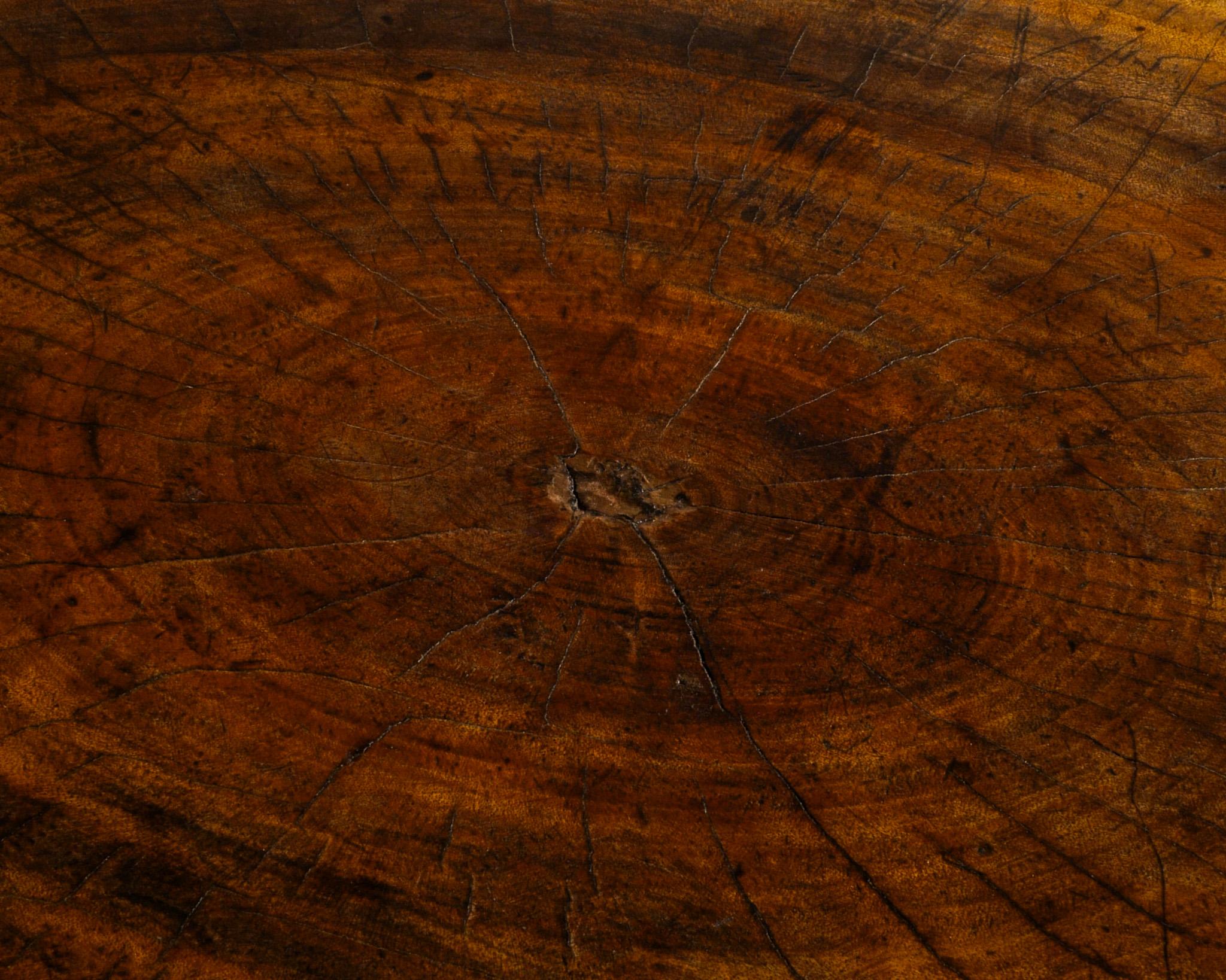 French Round Mid Century Elm Wood Coffee Table Produced in France, 1950s 1