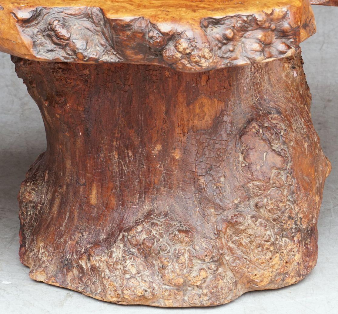 French Rustic or Naturalistic Coffee or Low Table of Burr Walnut 10