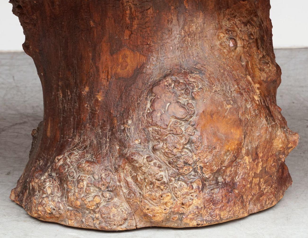 French Rustic or Naturalistic Coffee or Low Table of Burr Walnut 11