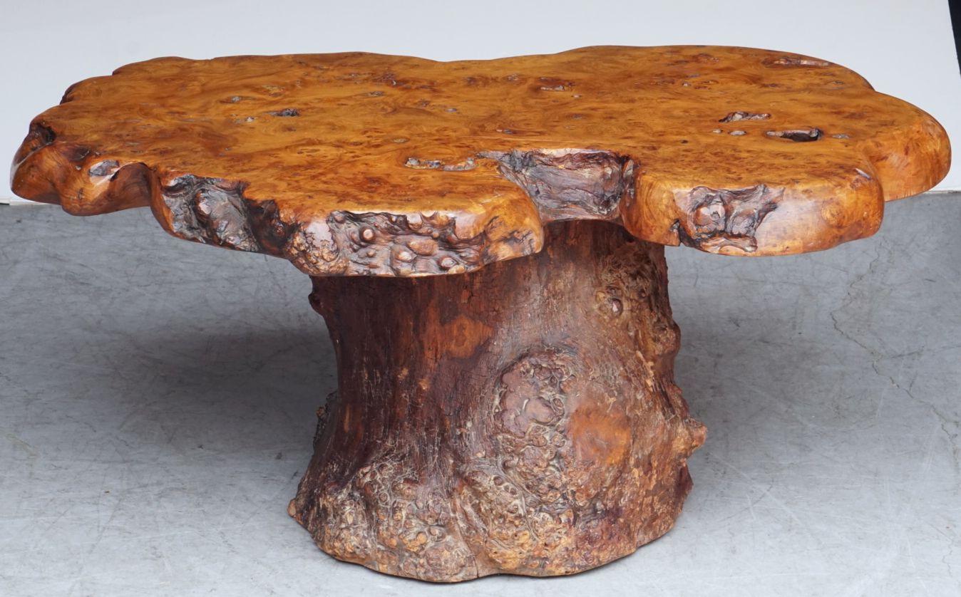 French Rustic or Naturalistic Coffee or Low Table of Burr Walnut 12