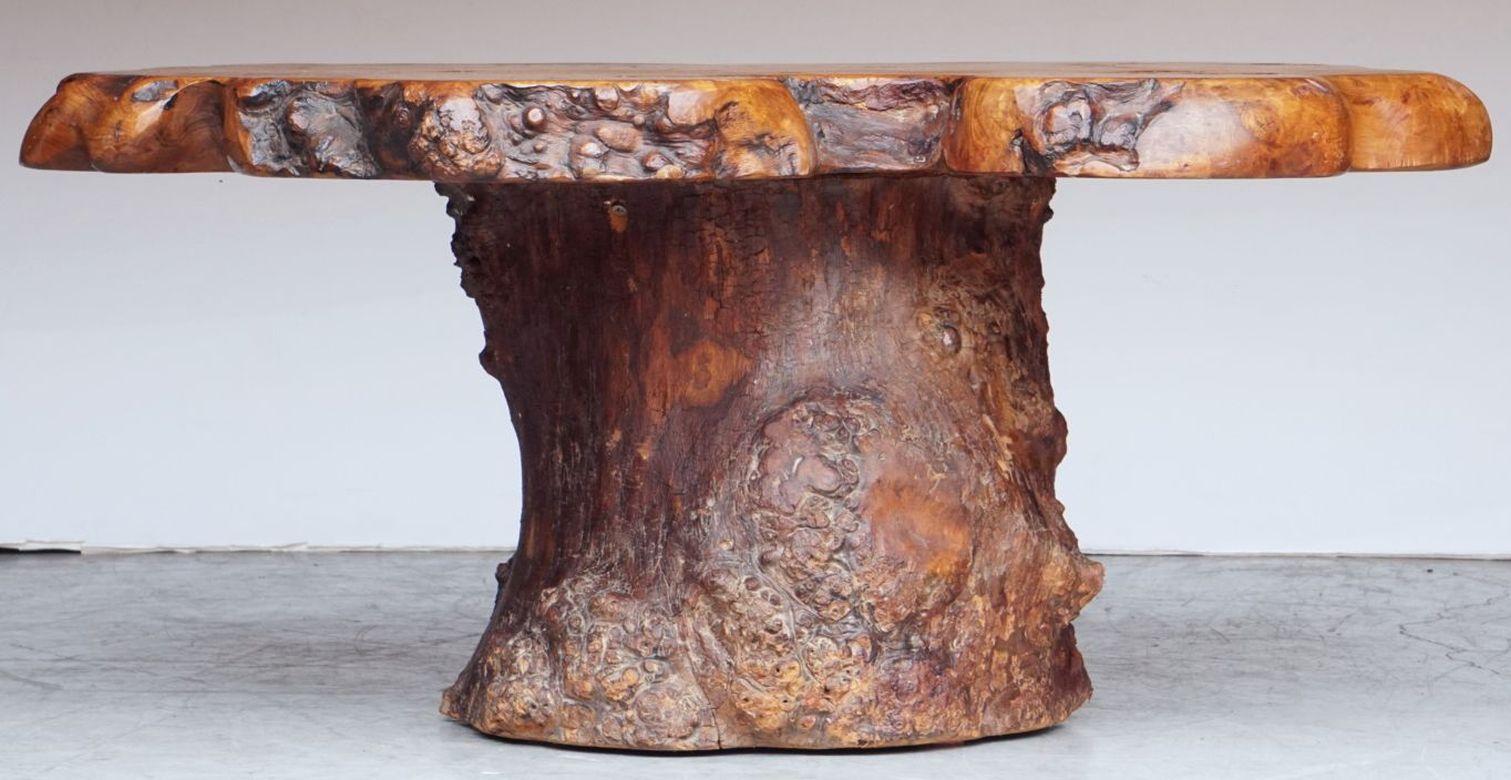 French Rustic or Naturalistic Coffee or Low Table of Burr Walnut In Good Condition In Austin, TX