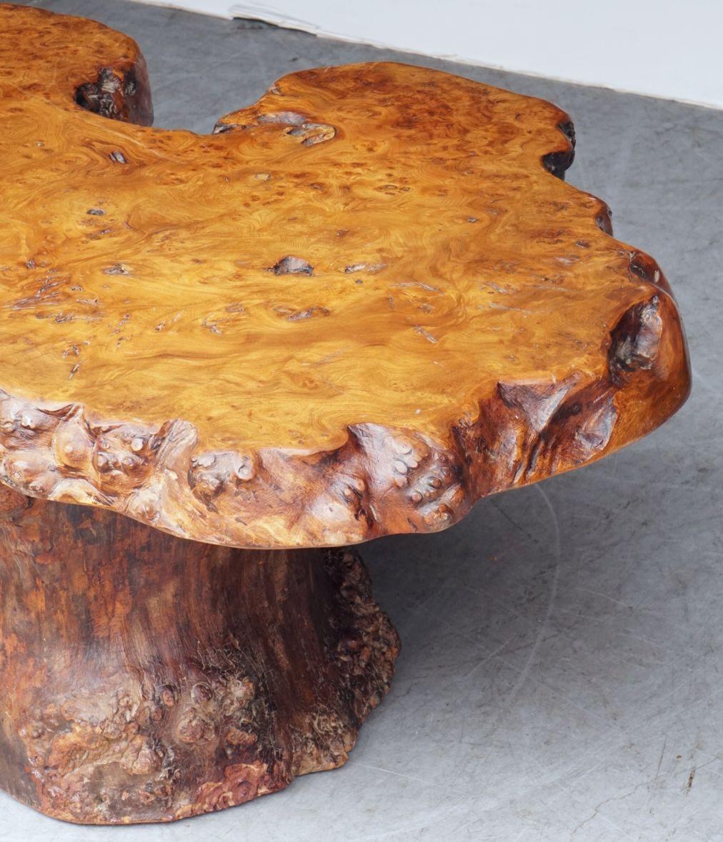 French Rustic or Naturalistic Coffee or Low Table of Burr Walnut 1