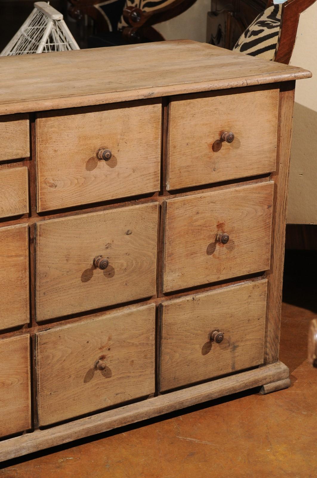 French Rustic Shopkeeper's 10-Drawer Wooden Chest from the 19th Century 5