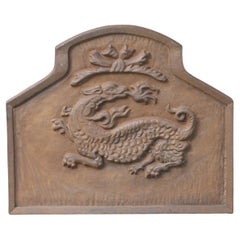 French 'Salamander' Fireback / Backspalsh, 20th Century