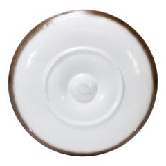 Servicio de ostras de loza francesa Salins