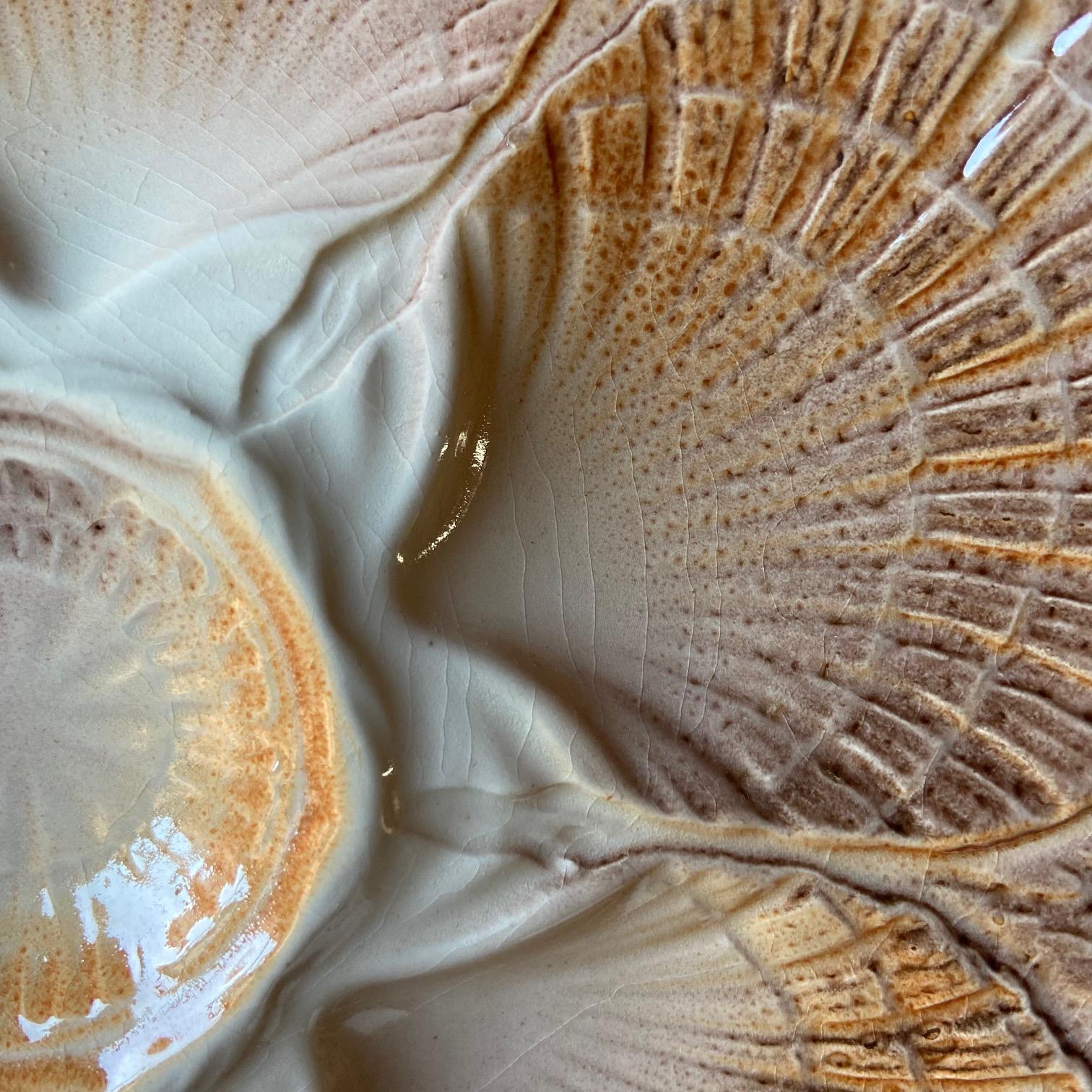 French Sarreguemines Majolica Oyster Shell Plates, set of 6 For Sale 2