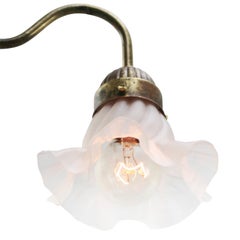 French Satin Glass Brass Flower Sconces Wall Lamps