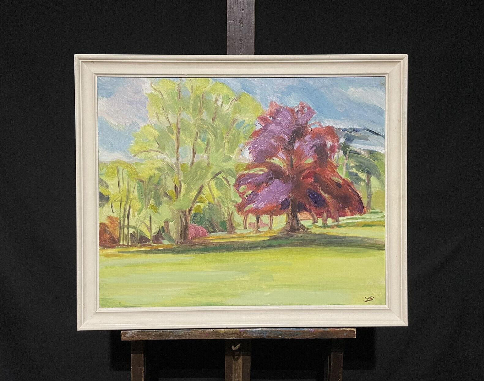 beech tree in french