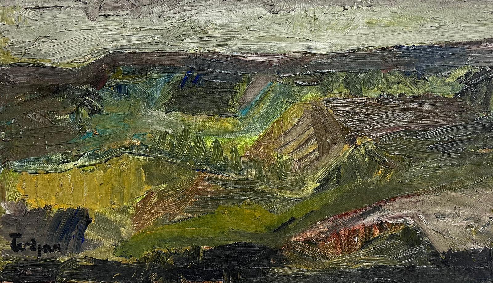 Französischer Expressionist Schlammige grüne & braune Landschaft Sehr dickes Öl-Impasto  – Painting von French School 