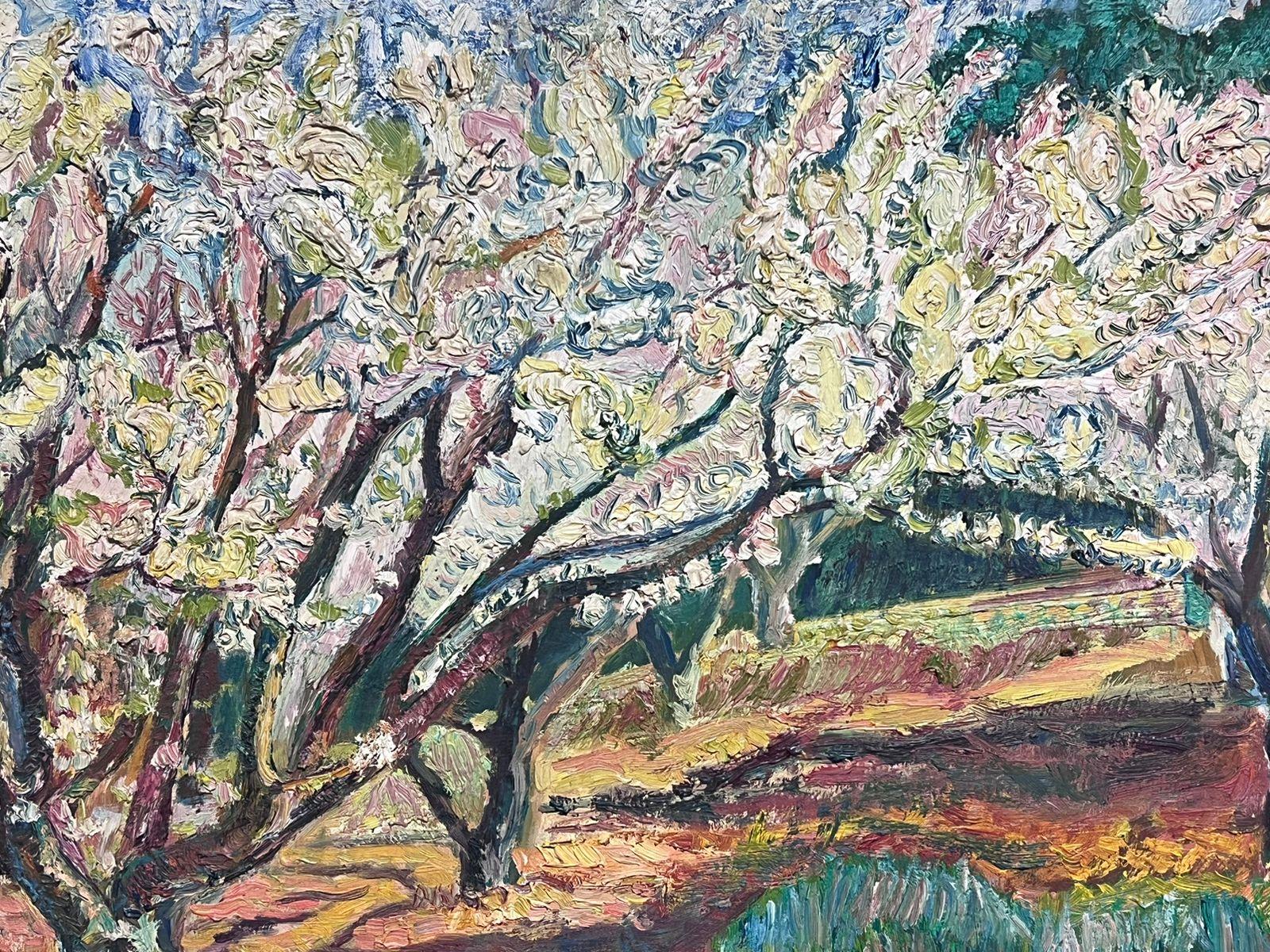 1930's French Post Impressionist Large Oil Painting Olive Groves in Provence For Sale 5