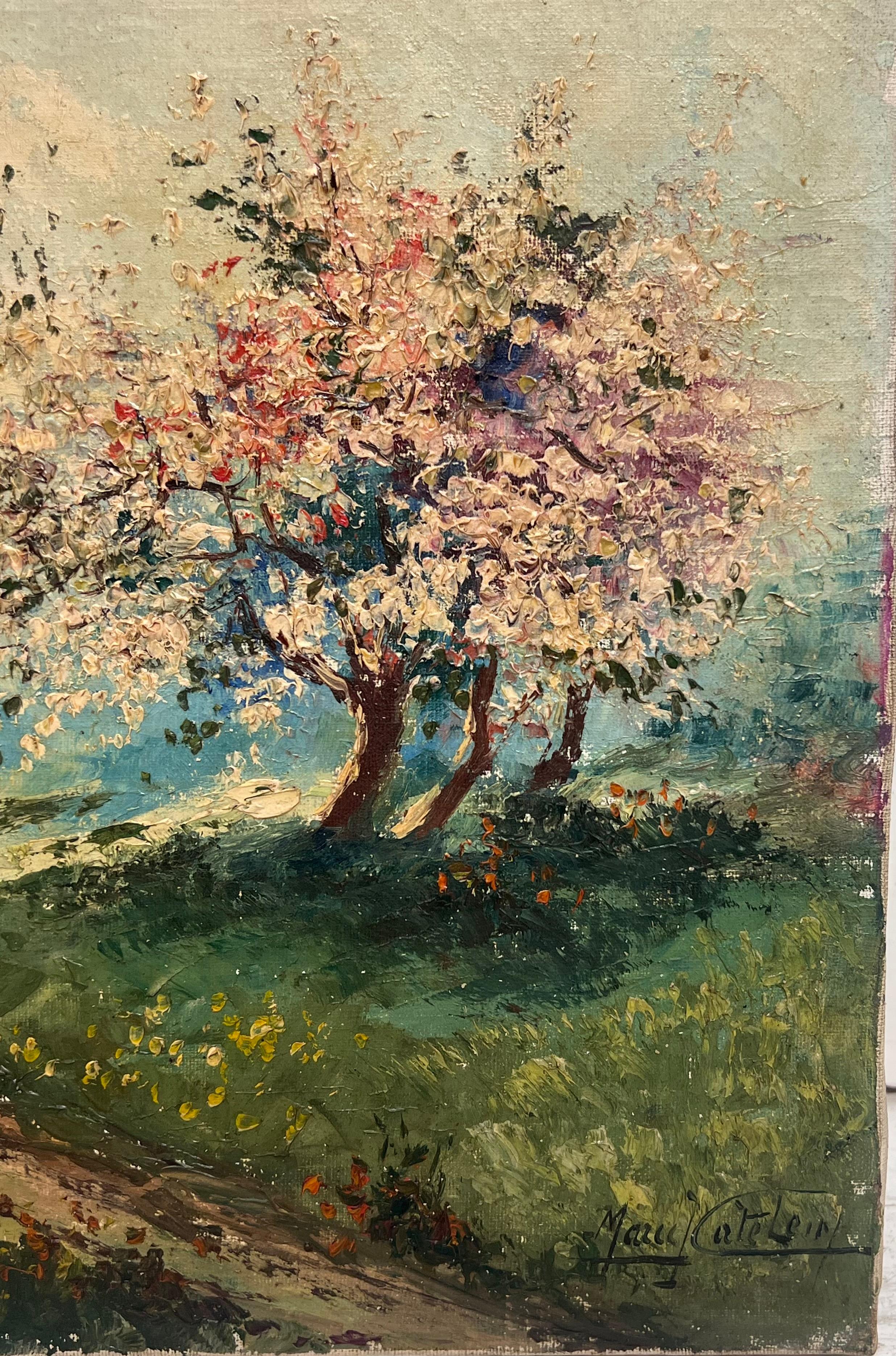 1950's Pintura al óleo francesa postimpresionista firmada Árboles en flor en un paisaje en venta 1
