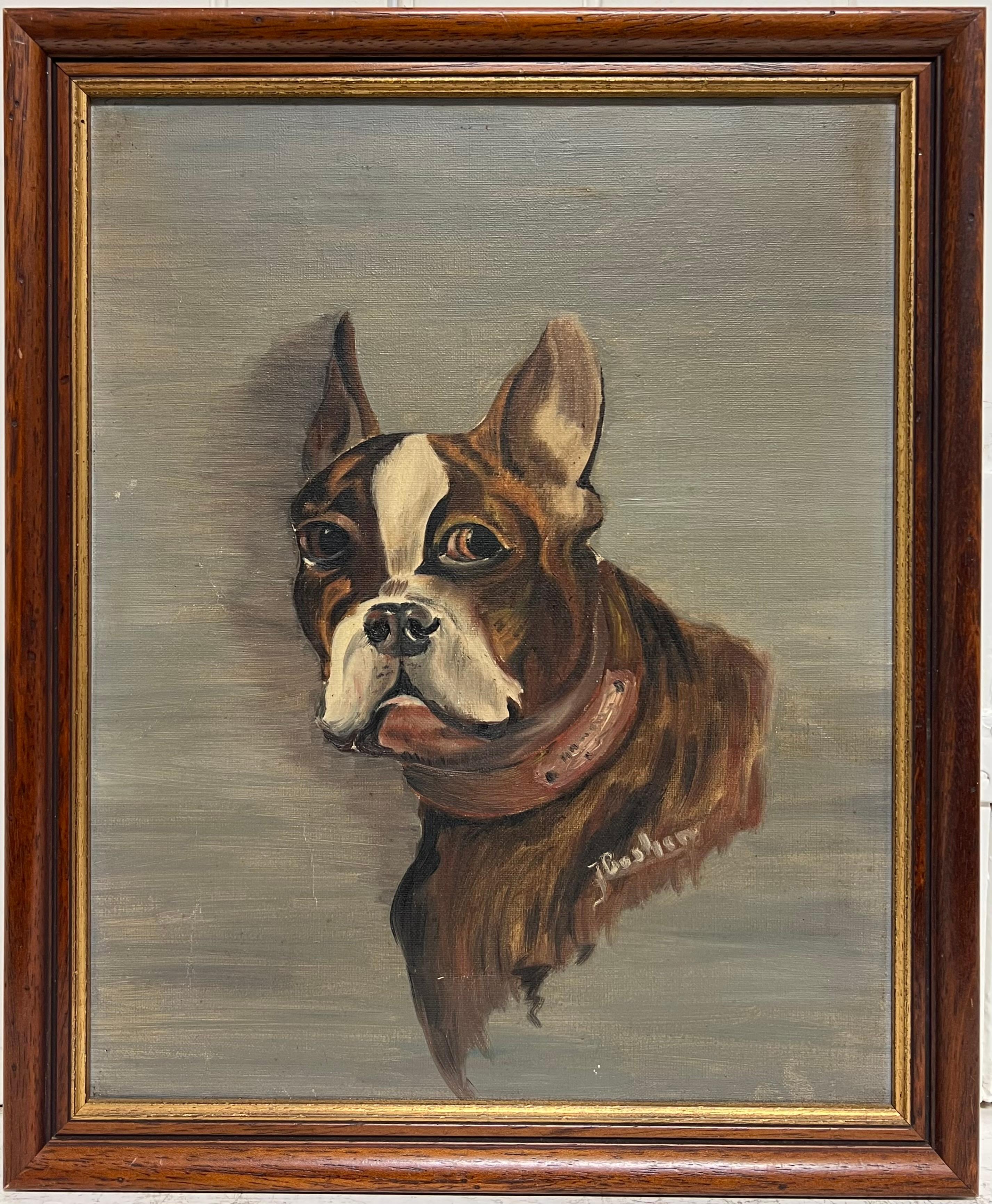 Antique French, dipinto ad olio firmato, ritratto di un cane Boston Terrier - Painting di French School