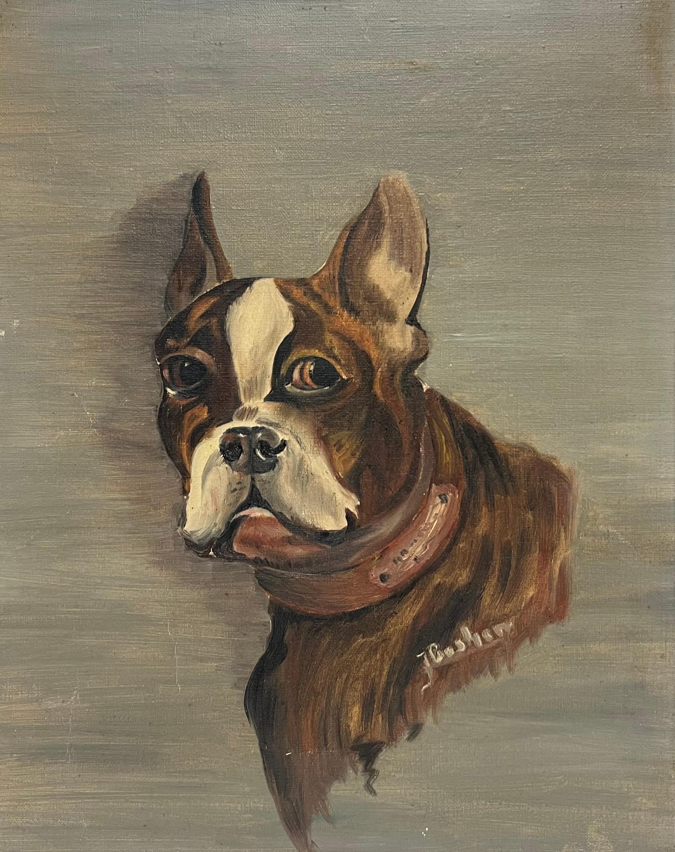 Antique French, dipinto ad olio firmato, ritratto di un cane Boston Terrier - Painting Scuola francese di French School