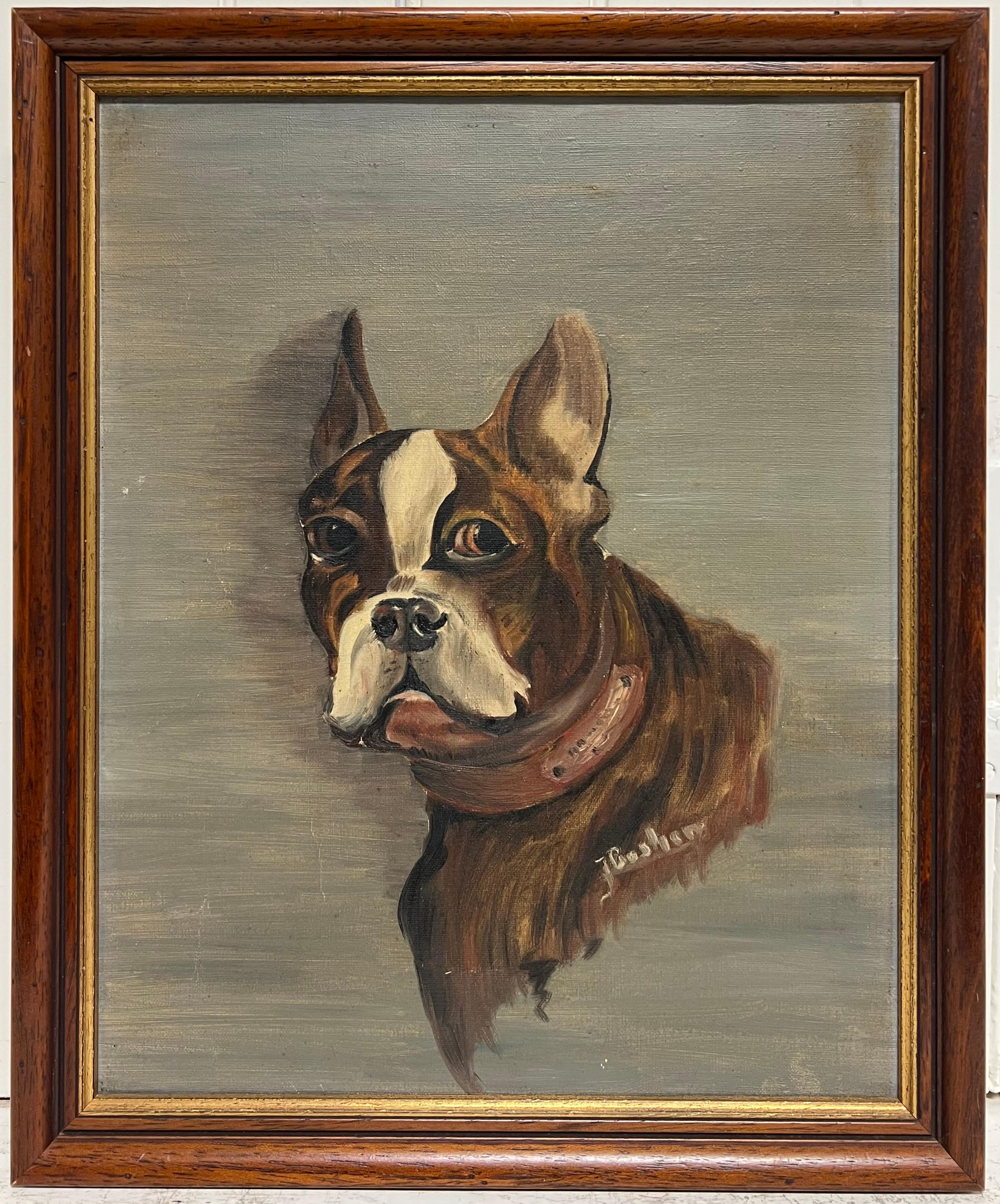 Antique French, dipinto ad olio firmato, ritratto di un cane Boston Terrier - Portrait Painting Marrone di French School