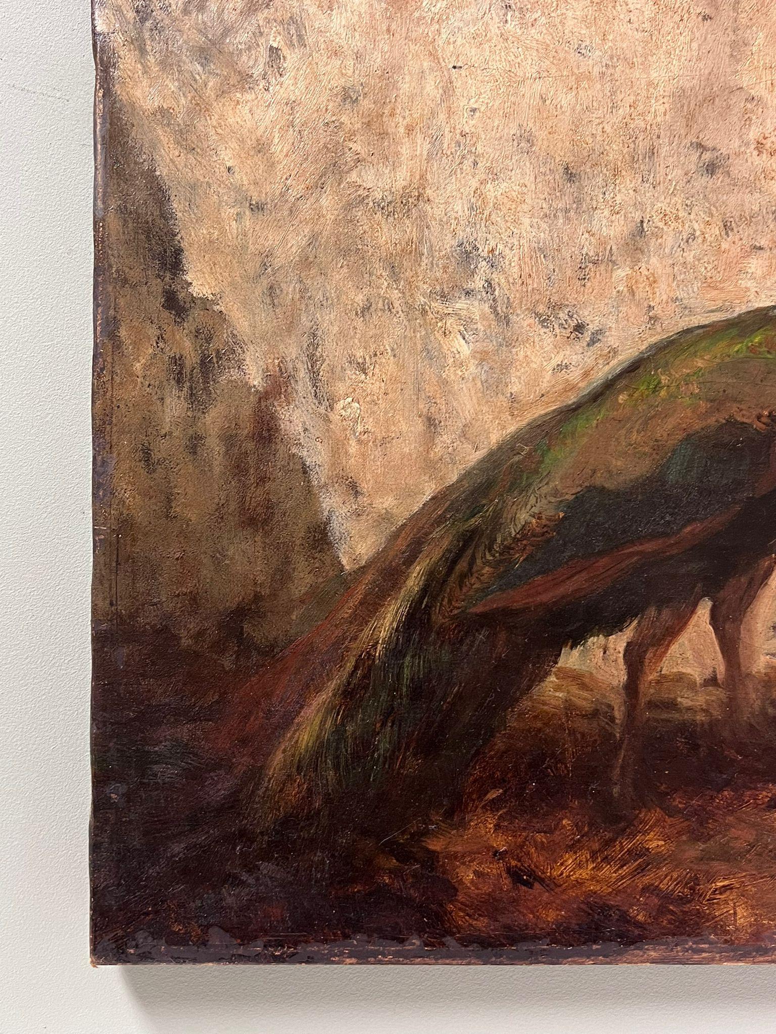 Raffinato dipinto a olio francese del XIX secolo: pavone e galline in cortile - Landscape Painting Marrone di French School