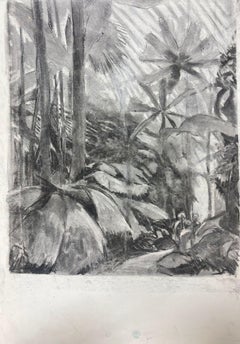 Monochromatic Jungle Scene in Charcoal Mystery of Tropical Wilderness