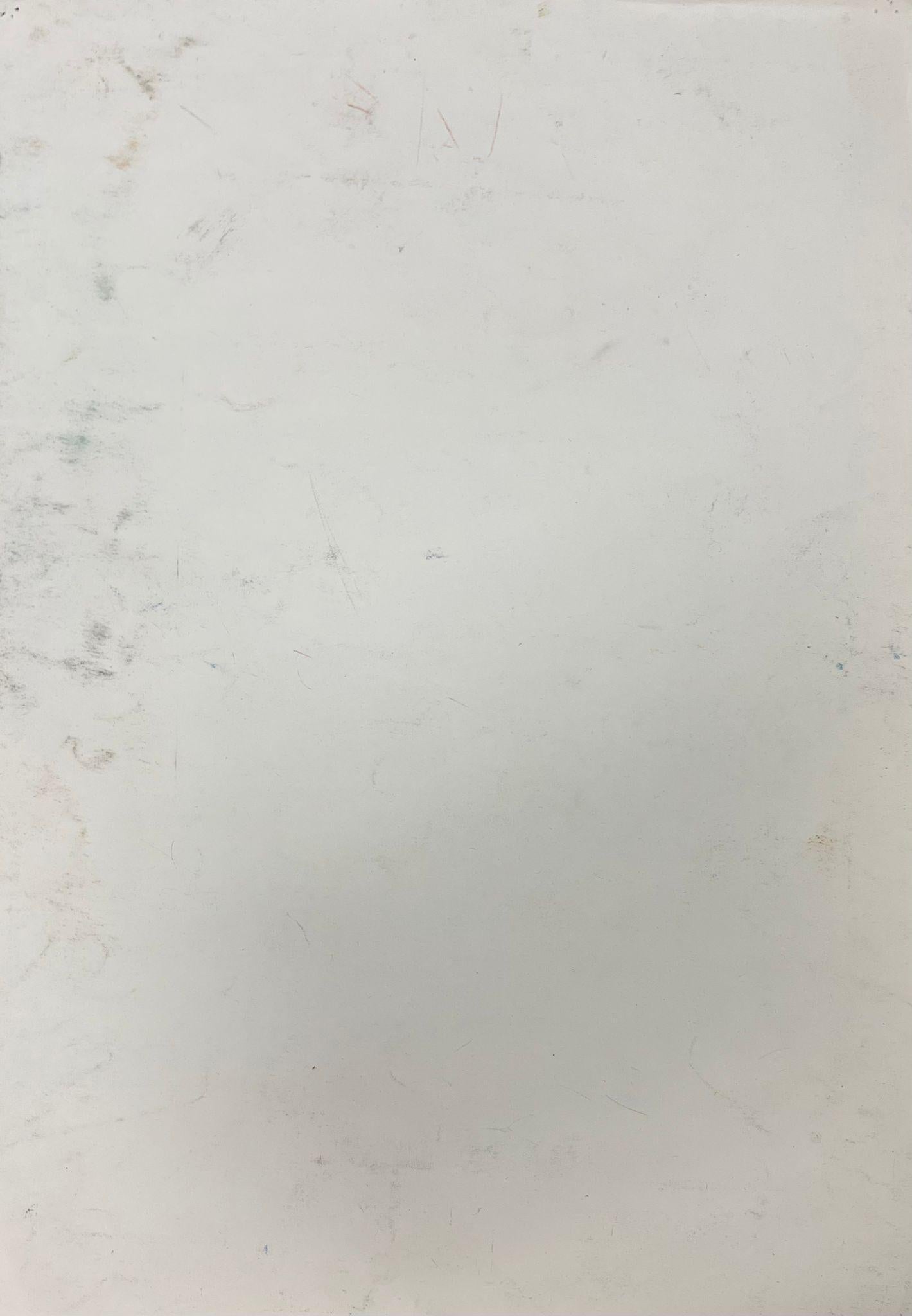 Escena monocromática de la selva en carboncillo Misterio de la selva tropical en venta 2