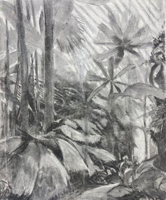 Monochromatic Jungle Scene in Charcoal Mystery of Tropical Wilderness