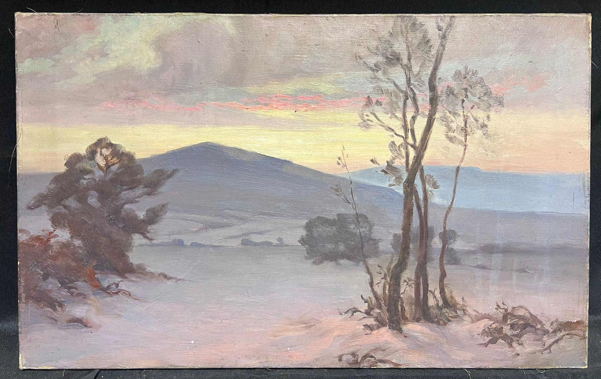 Winter Landscape
French artist, circa 1930's
oil on canvas, unframed
canvas: 15 x 24 inches
provenance: private collection, France
condition: good and sound condition though with a few streaky marks to the surface. 