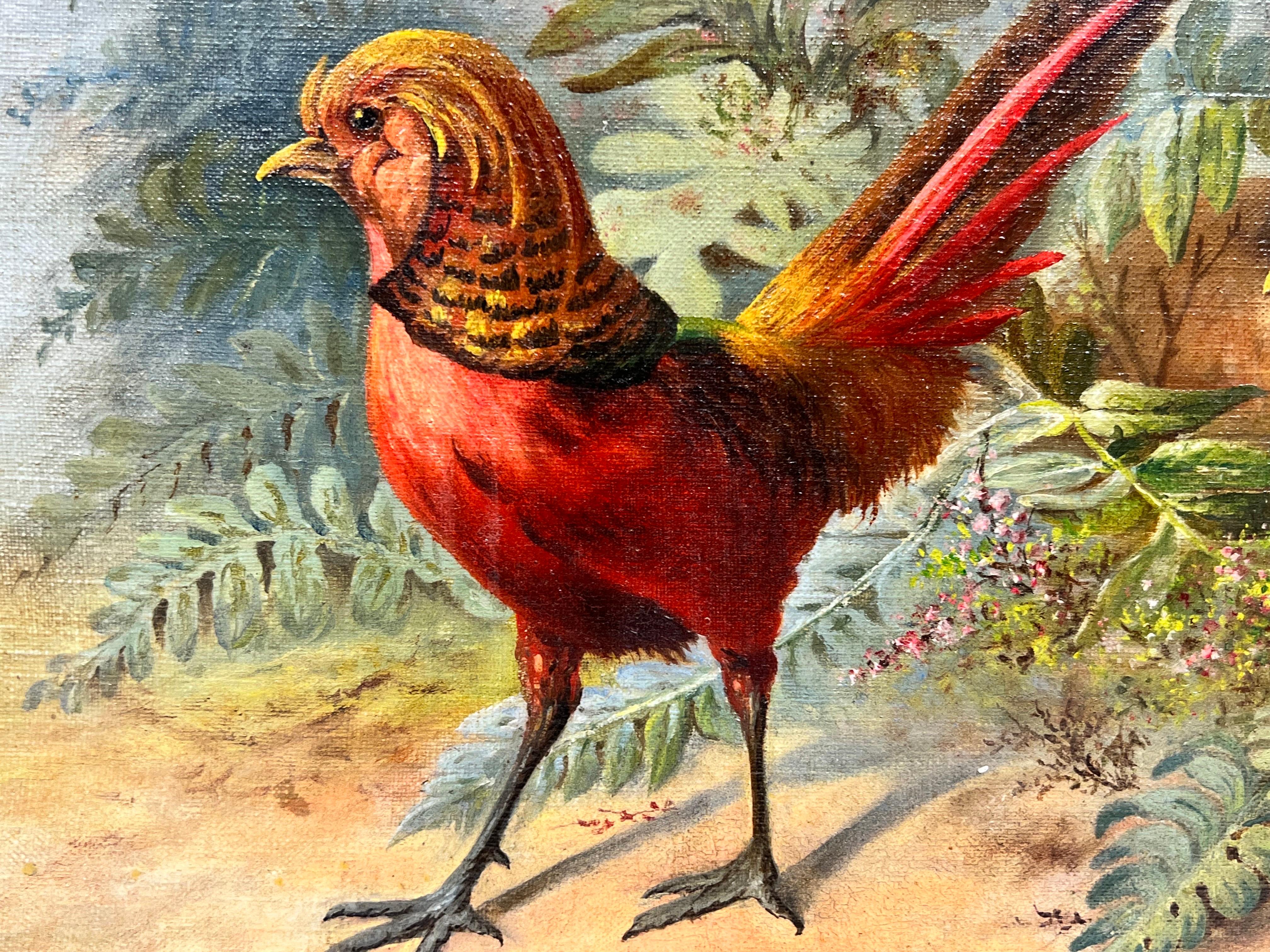 Fagiani esotici rari in un paesaggio naturale dipinto ad olio francese del XIX secolo - Painting di French School