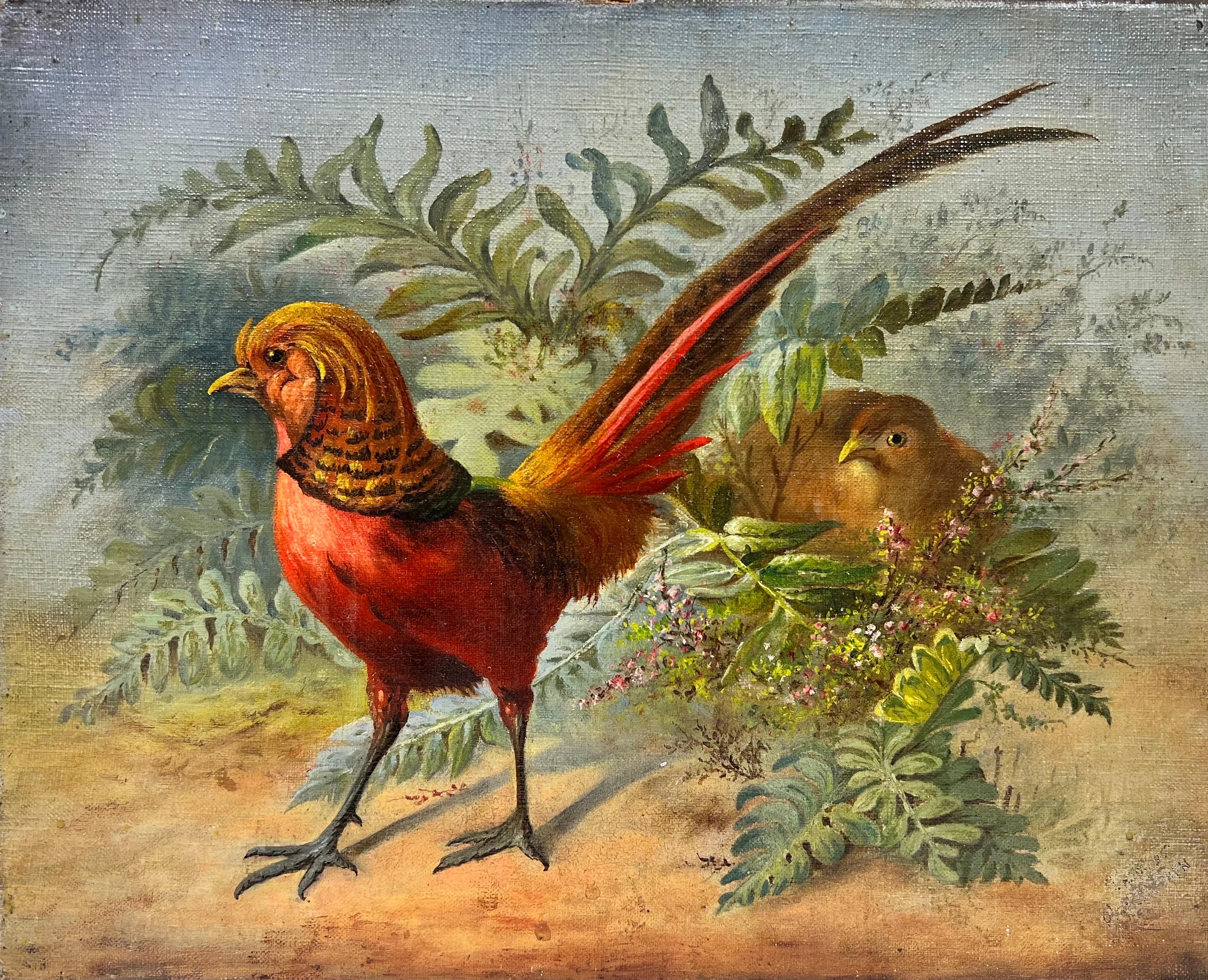 Peinture à l'huile française du 19ème siècle - Peinture de faisans exotiques dans un paysage naturel 