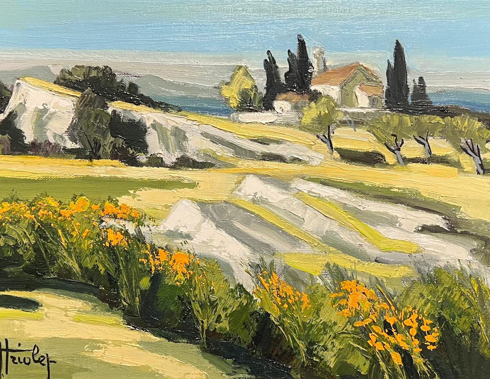 Sunlit Southern French Landscape Cottage Among Olive Trees, Ölgemälde – Painting von French School