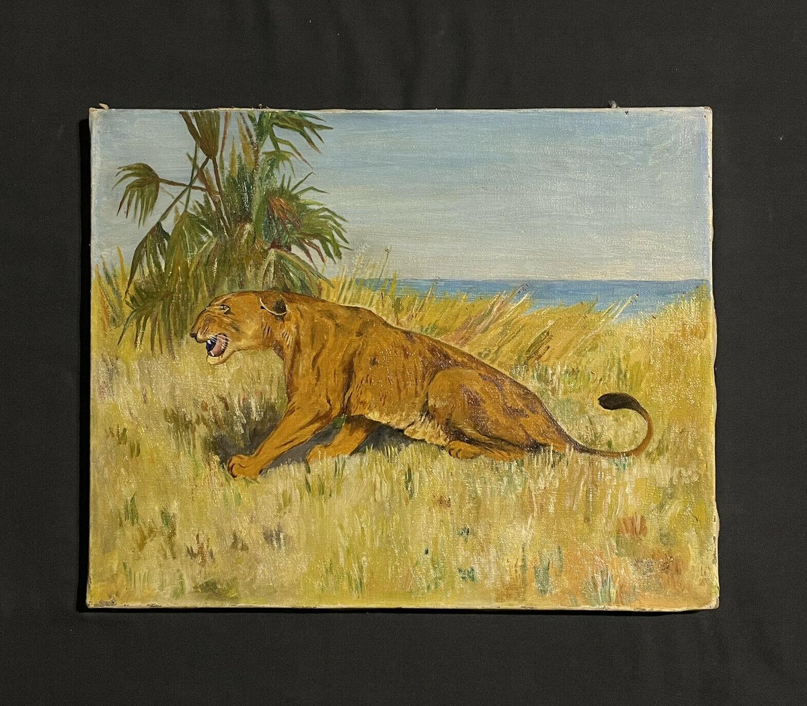 ANTIQUE FRENCH OIL - LIONESS IN LONG GRASS AFRICAN LANDSCAPE  - Painting by Unknown