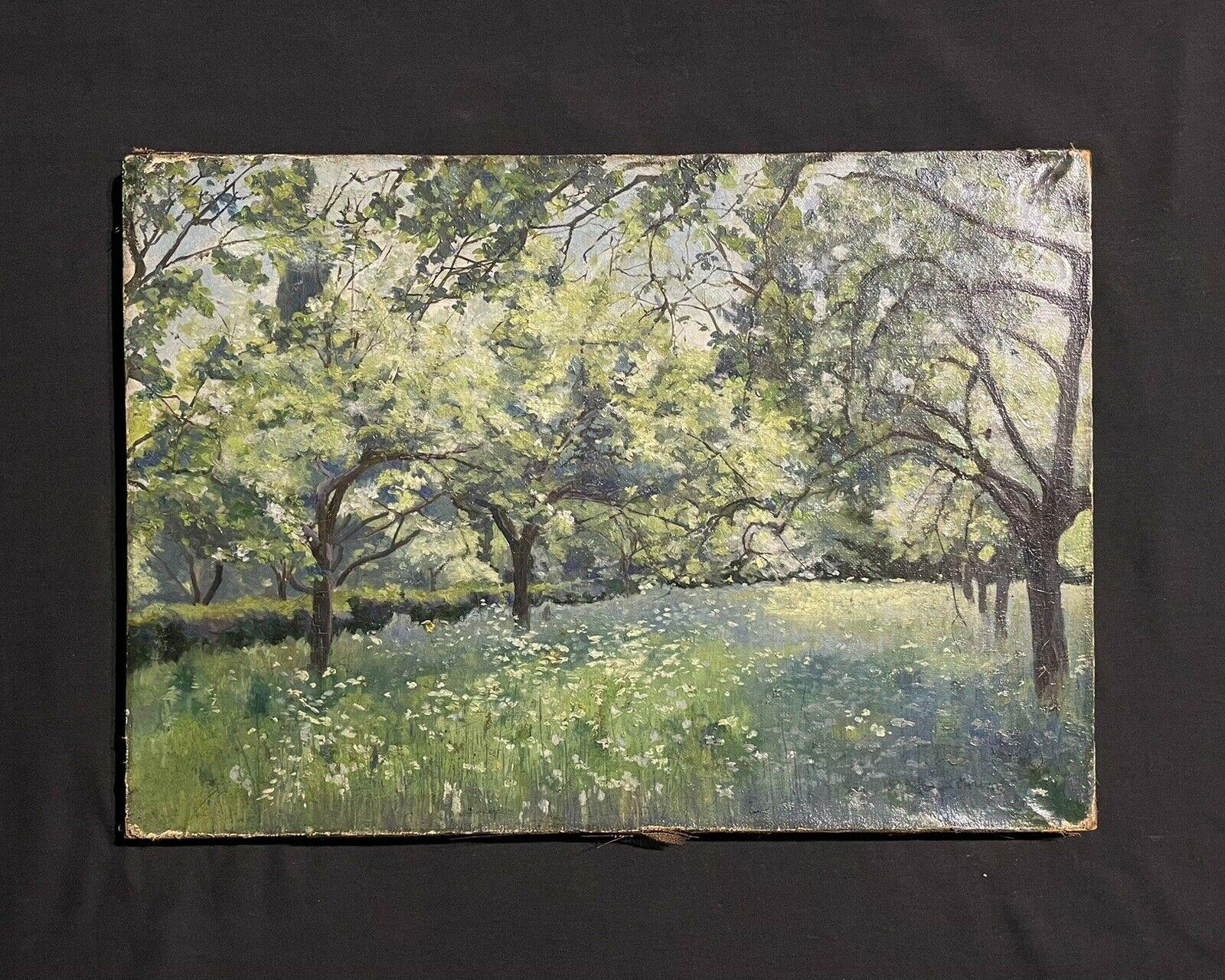 19th Century French Impressionist Oil Painting Summer Meadows Wild Flowers - Gray Landscape Painting by Unknown