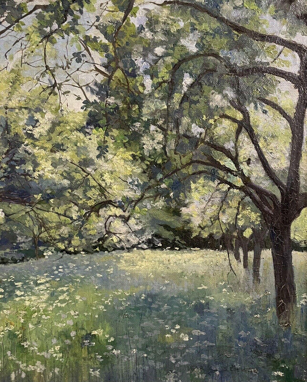 Artist/ School: French School, late 19th century

Title: Summer Meadows. A beautiful impressionist view of these summer meadows with wild flowers. Lovely dappled light falling between the trees. Inscribed verso to old label.

Medium:  oil painting