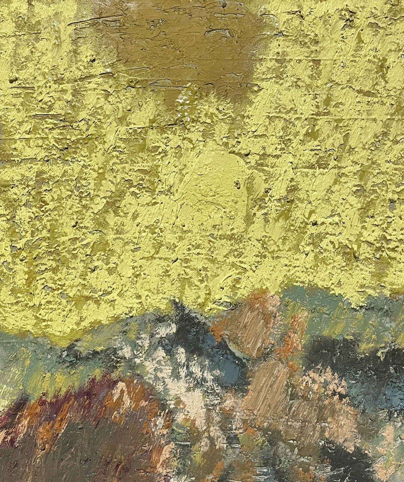 Artista/Scuola: Scuola francese, firmato e datato 1960.

Titolo: paesaggio modernista dipinto con colori a blocchi, raffigurante un paesaggio bruciato dal sole. Titolato sul retro.

Media:  dipinto a olio su tela, senza cornice.

Dimensioni:    