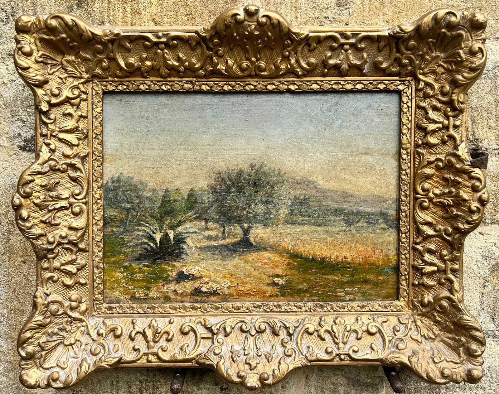 French School Landscape Painting - Antique French Impressionist Signed Oil Golden Light Olive Groves Provence