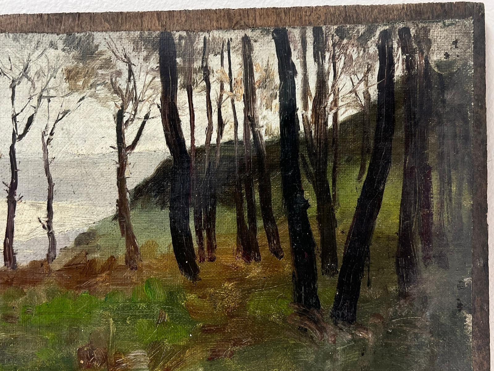 Atmospheric French Impressionist Oil Painting Early 20th century Woodland Lake For Sale 1