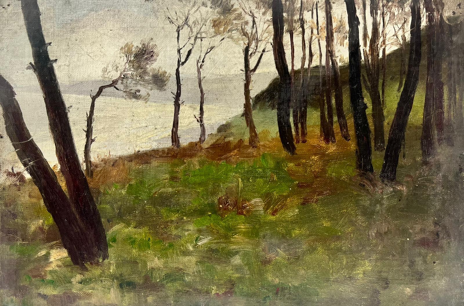 Landscape Painting di French School - Pittura a olio impressionista francese d'atmosfera dei primi del Novecento Lago di bosco