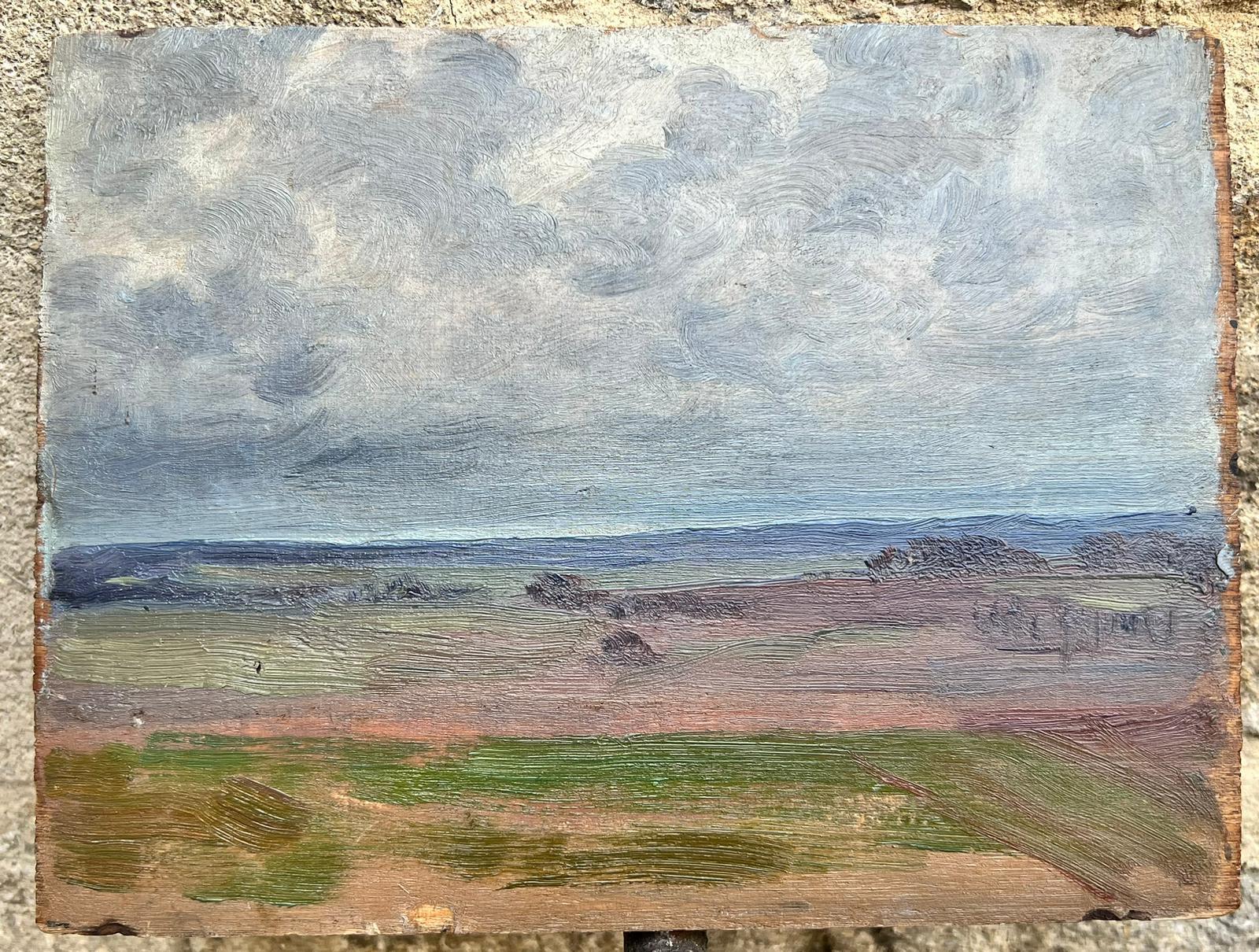 Paisaje al óleo francés de campos ondulados bajo un cielo nublado - Painting de French School