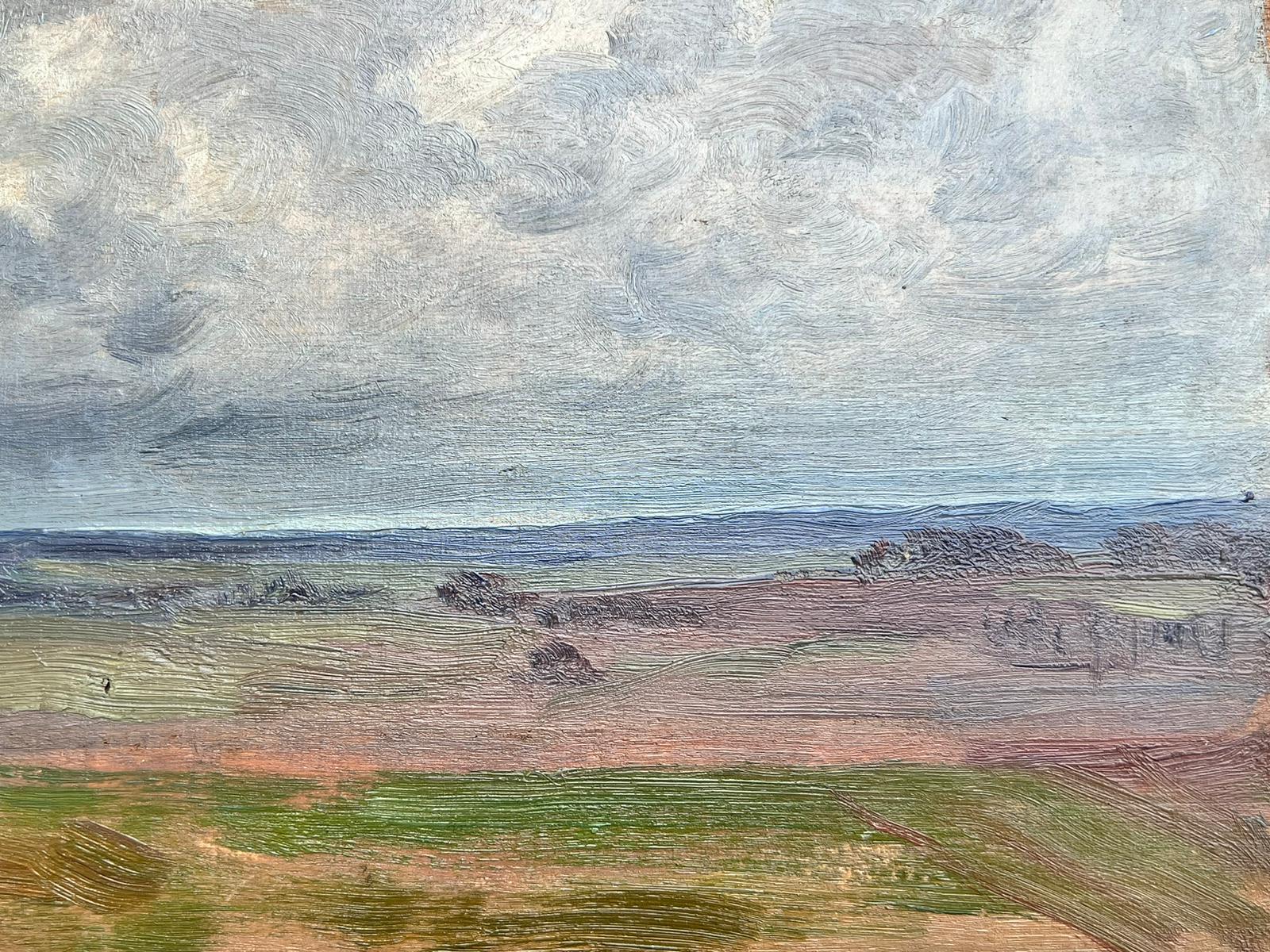 Paisaje al óleo francés de campos ondulados bajo un cielo nublado - Painting Escuela francesa de French School