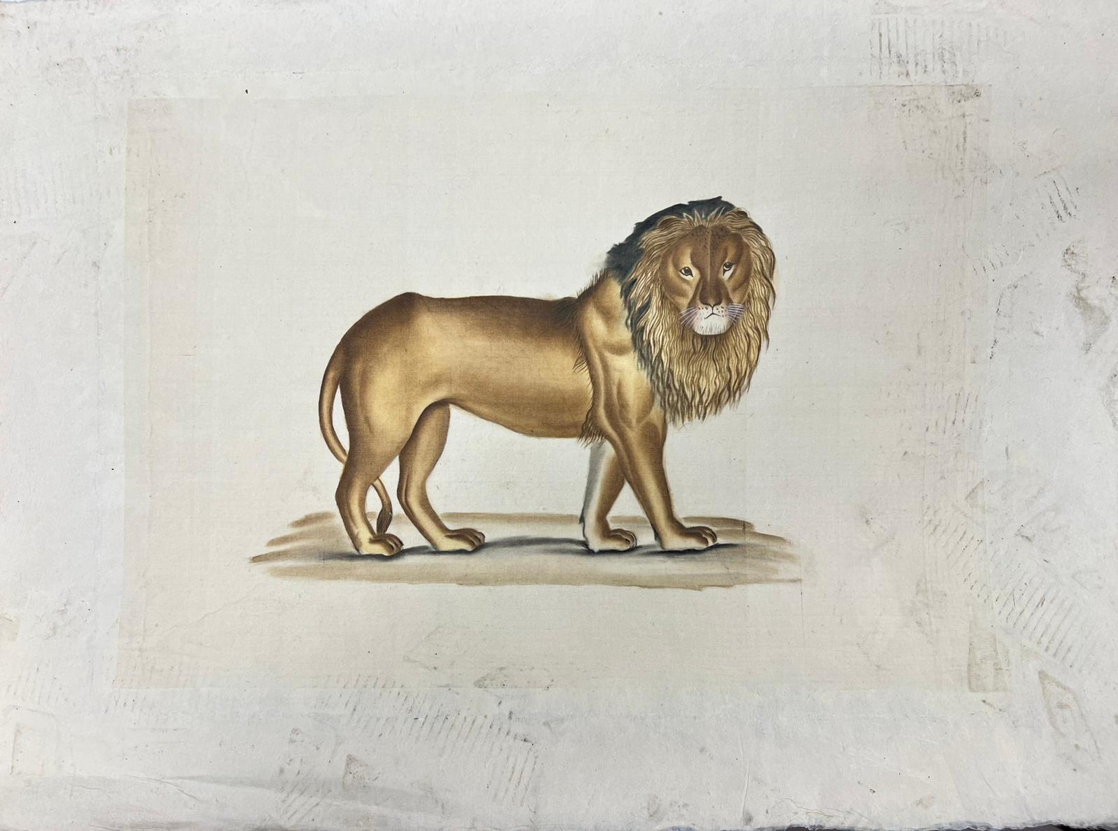 19th Century French Portrait of a Lion original painting - Art by French School
