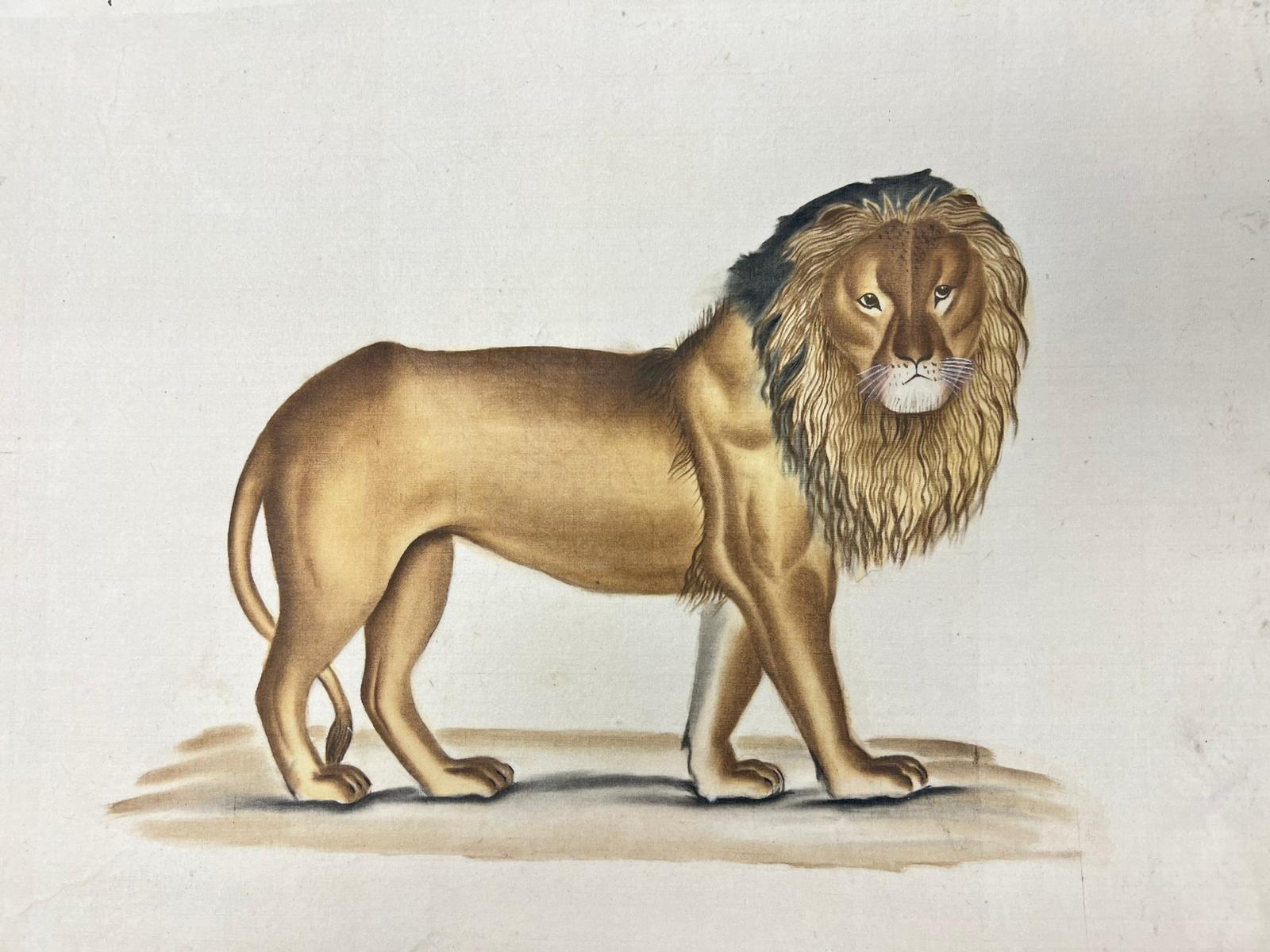19th Century French Portrait of a Lion original painting - French School Art by French School