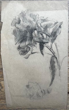 Mid Century French Botanical Flower Study Graphite Pencil Drawing