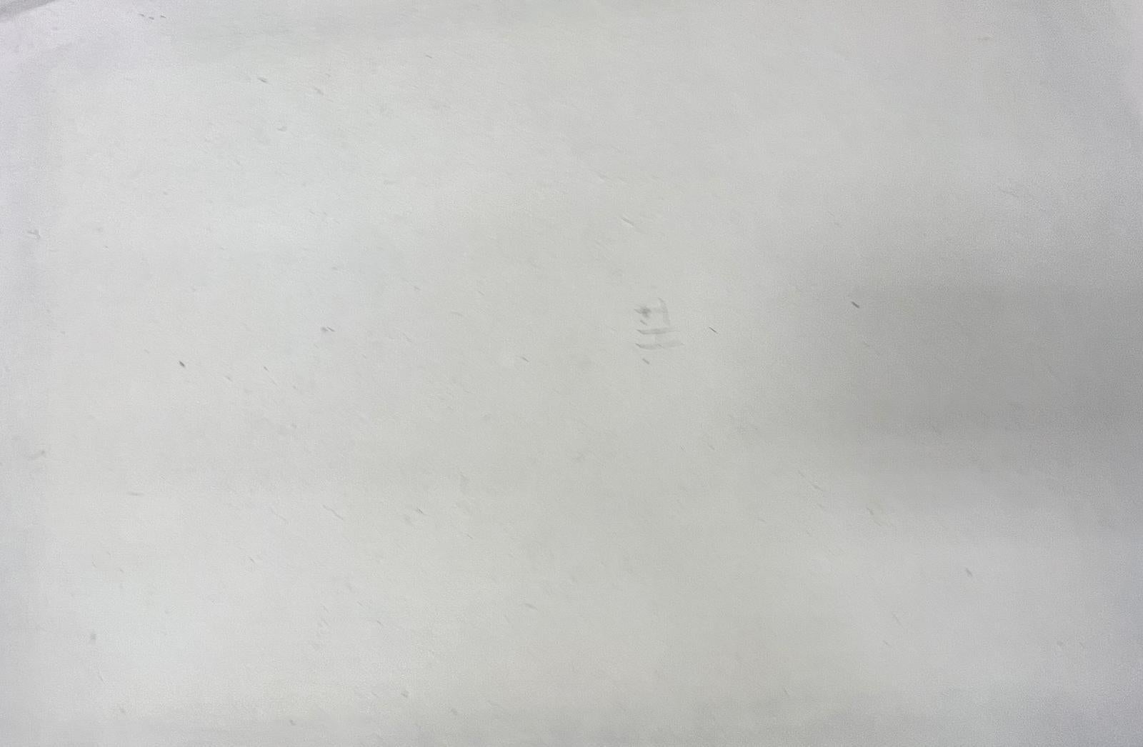 Il Gattopardo, dipinto originale firmato del XIX secolo in Francia 4
