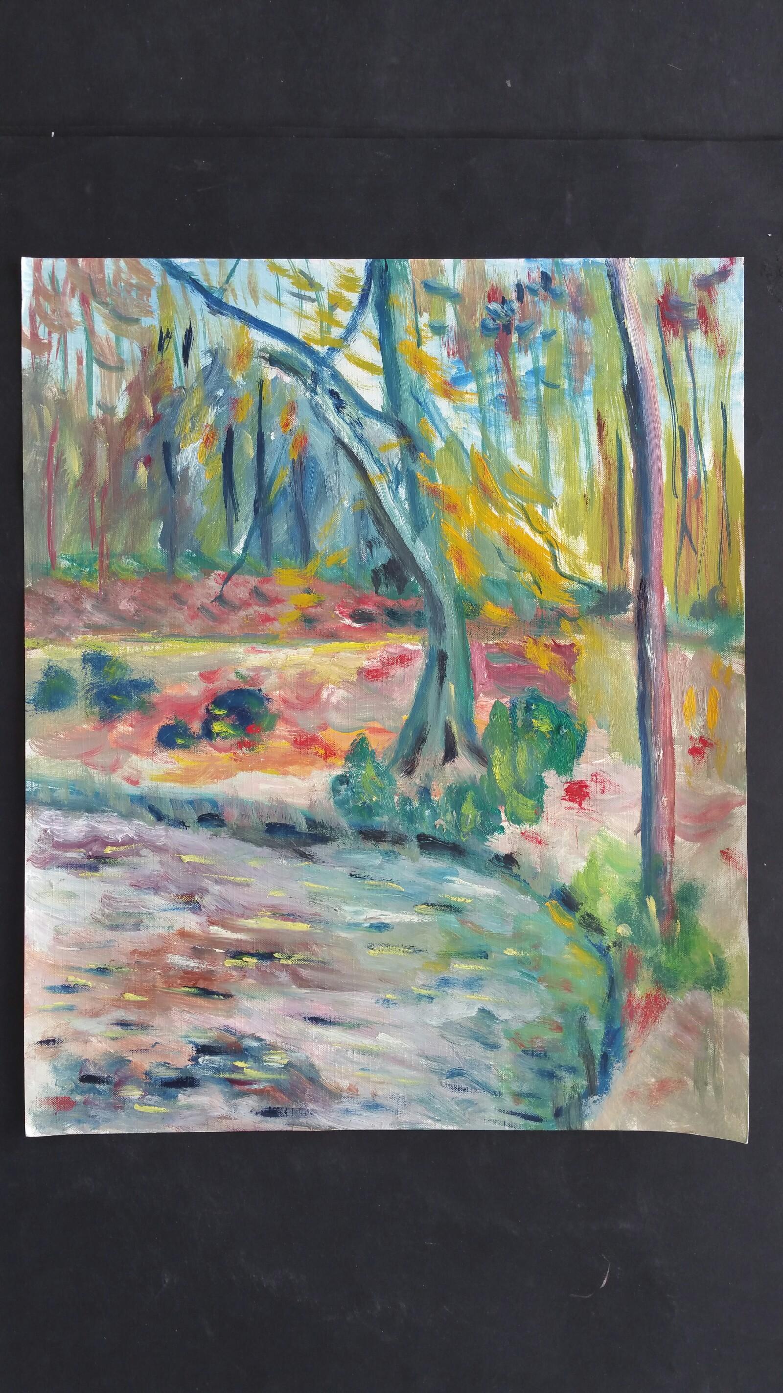 Pittura a olio francese del 20° secolo, bosco provenzale - Painting di Unknown
