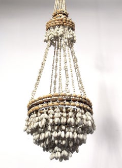 French Sea Shells Chandelier or Pendant