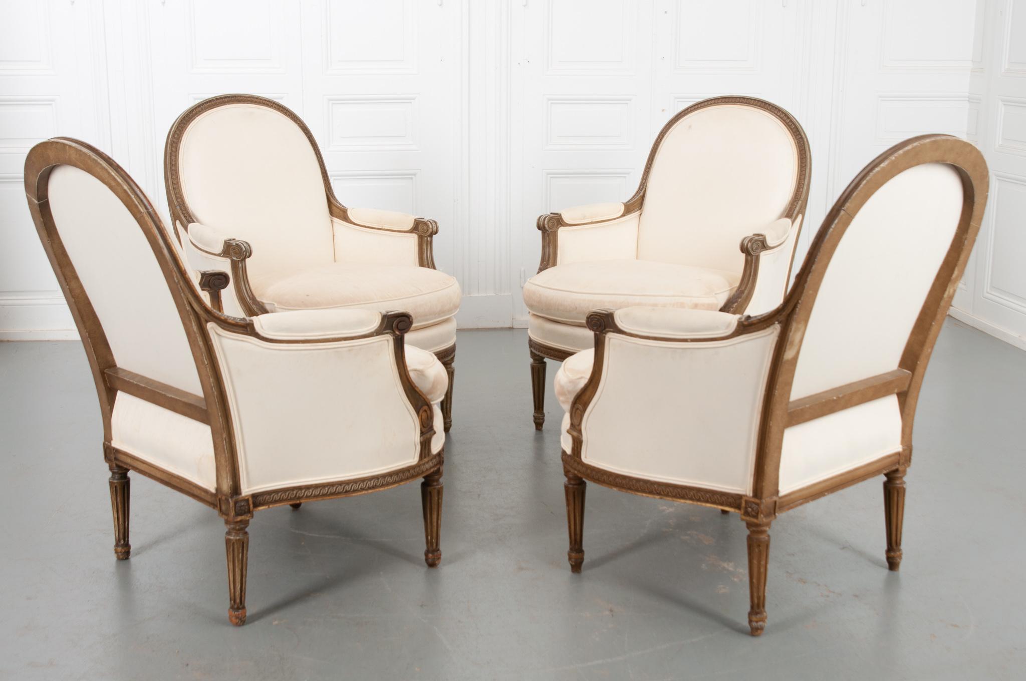 A sophisticated set of four French 19th century bergeres. Fluted legs, indicative of the Louis XVI style, support the broad chairs with slender elegance. The sturdy wooden frames feature neatly carved swirling patterns, rosettes, and scrolling arms.