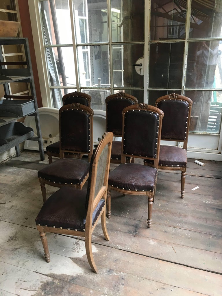 French Set of Six Oak Wood Dining Chairs from Late 19th Century For ...