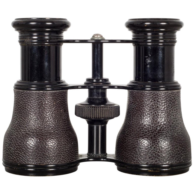 French Shagreen Opera Glasses by Le Maire Fabt. Paris Circa 1880 For Sale at 1stDibs