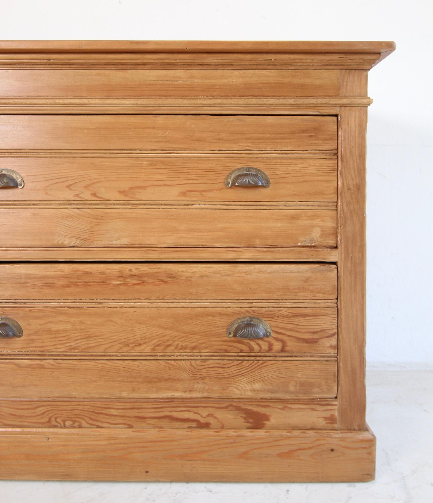 20th Century French Shop Drawer Cabinet from around 1920 For Sale